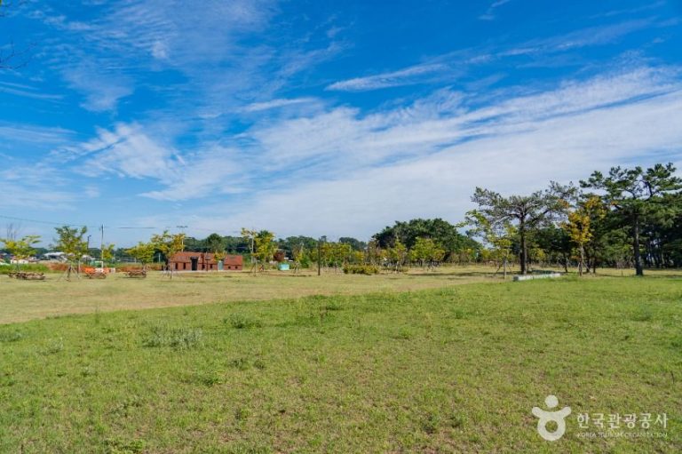 [경기] 궁평관광지
