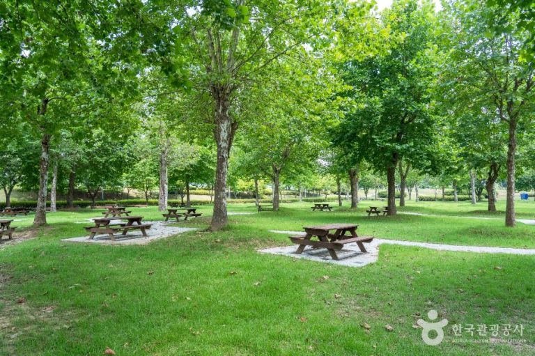 [경기] 금은모래강변공원