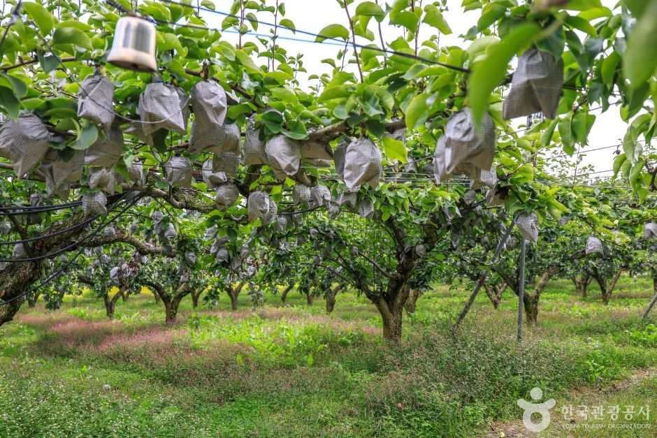 양평_가루매마을 (4)