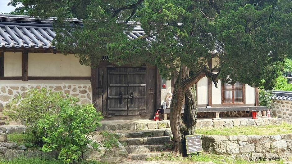 가평_가평 연하리향나무 (2)