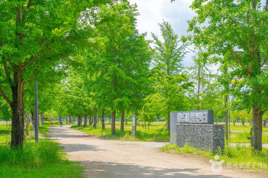 여주_강천섬유원지 (1)