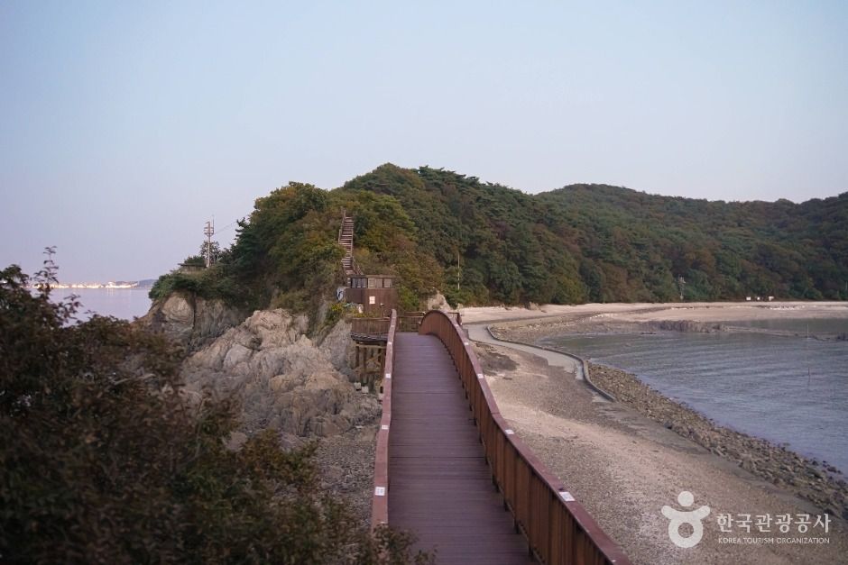 안산_개미허리아치교 (4)