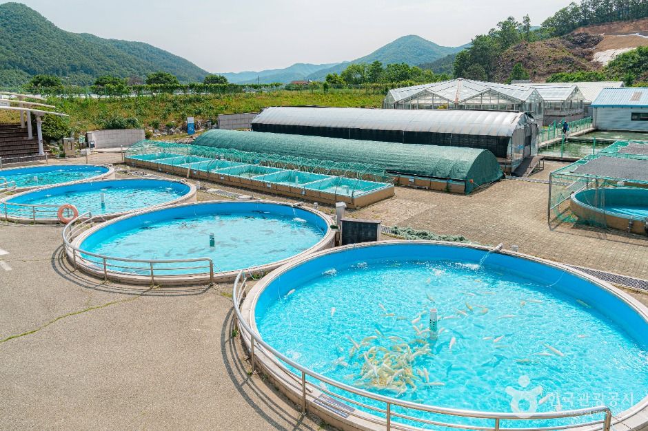 양평_경기도 민물고기 생태학습관 (2)