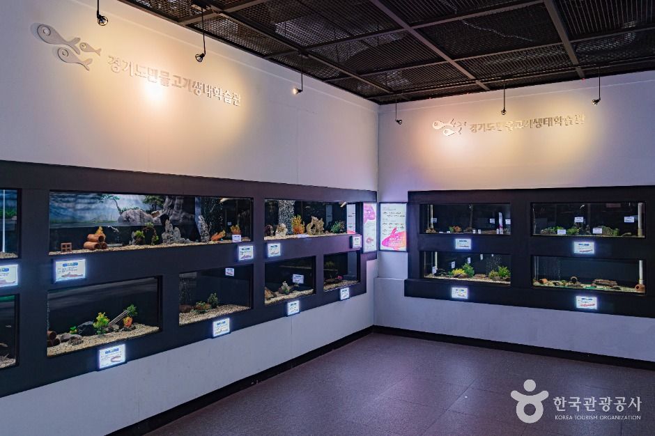 양평_경기도 민물고기 생태학습관 (5)