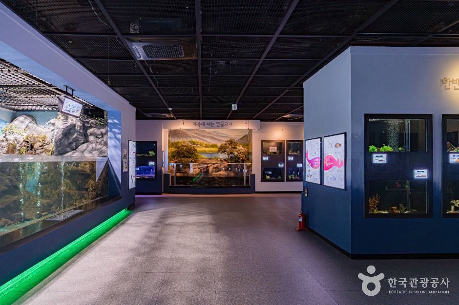 양평_경기도 민물고기 생태학습관 (6)