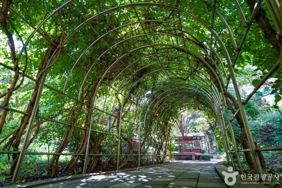 고양_고양 피크닉시민공원 (6)