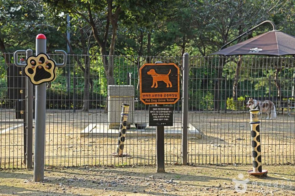 광교호수공원 반려견 놀이터 (6)