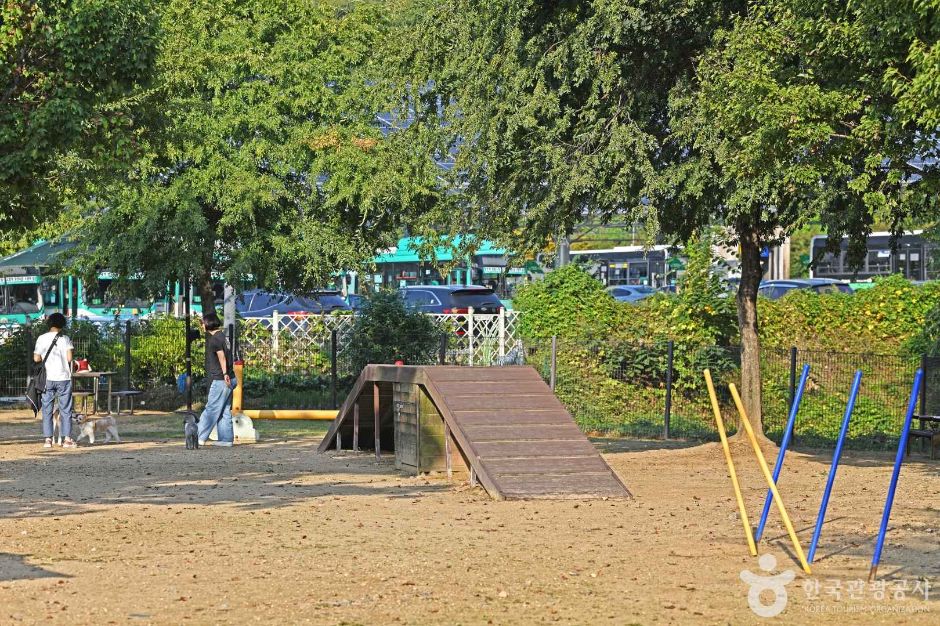 광교호수공원 반려견 놀이터 (7)