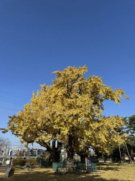 하남_광주향교(5)