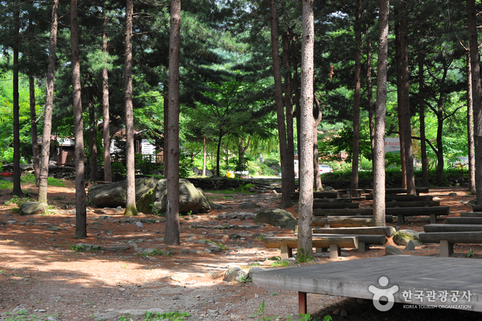 유명산자연휴양림