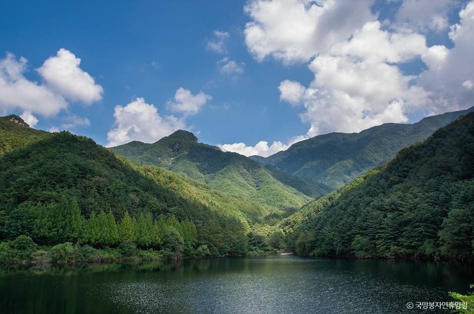 포천_국망봉자연휴양림 (1)