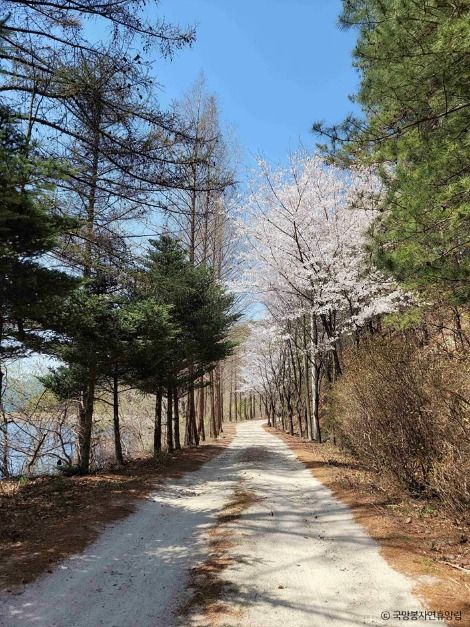 포천_국망봉자연휴양림 (4)