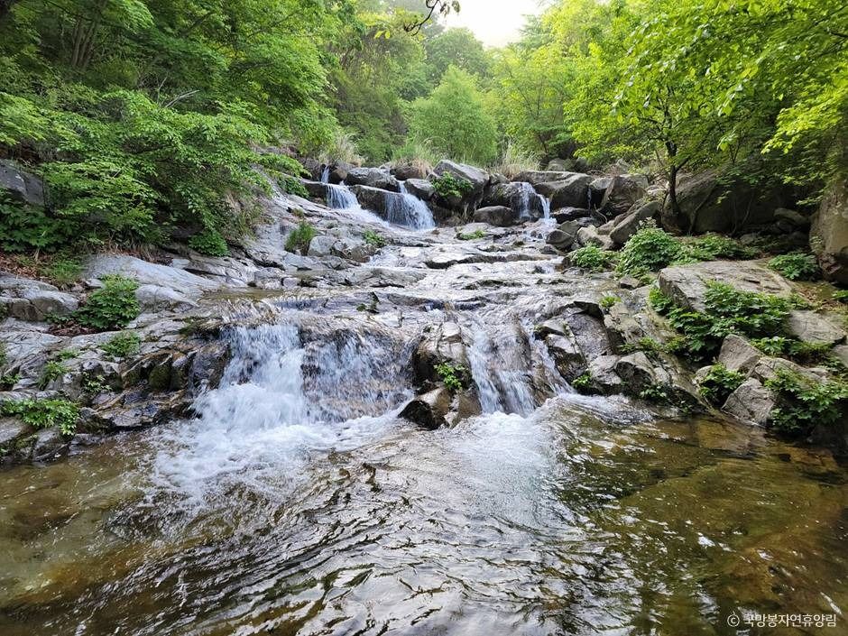 포천_국망봉자연휴양림 (6)