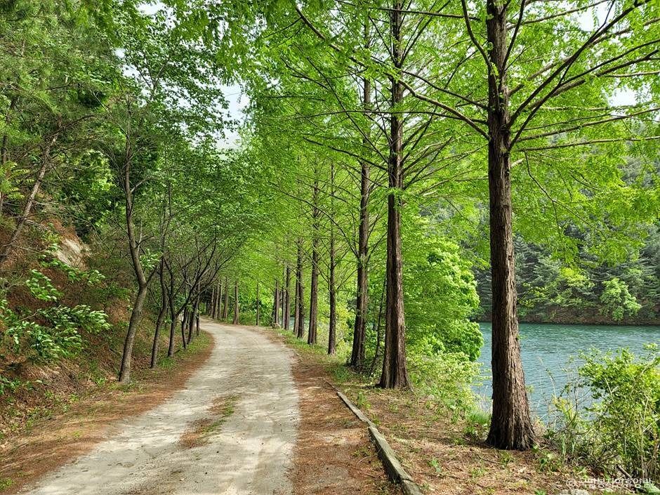 포천_국망봉자연휴양림 (8)