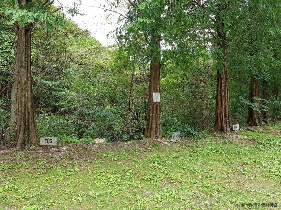 포천_국망봉자연휴양림 (17)