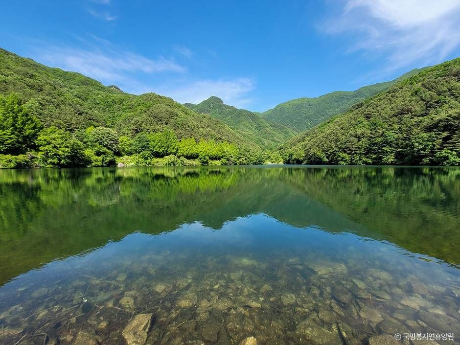 포천_국망봉자연휴양림 (19)