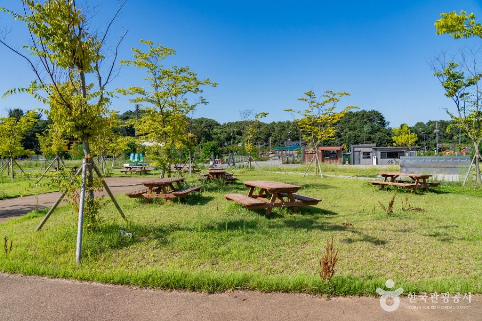 화성_궁평유원지 (3)