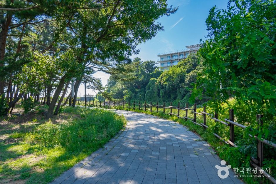 화성_궁평유원지 (4)