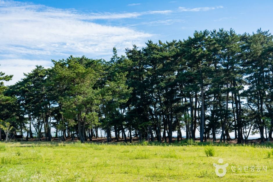 화성_궁평유원지 (2)