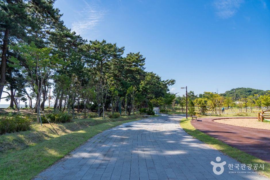 화성_궁평유원지 (5)