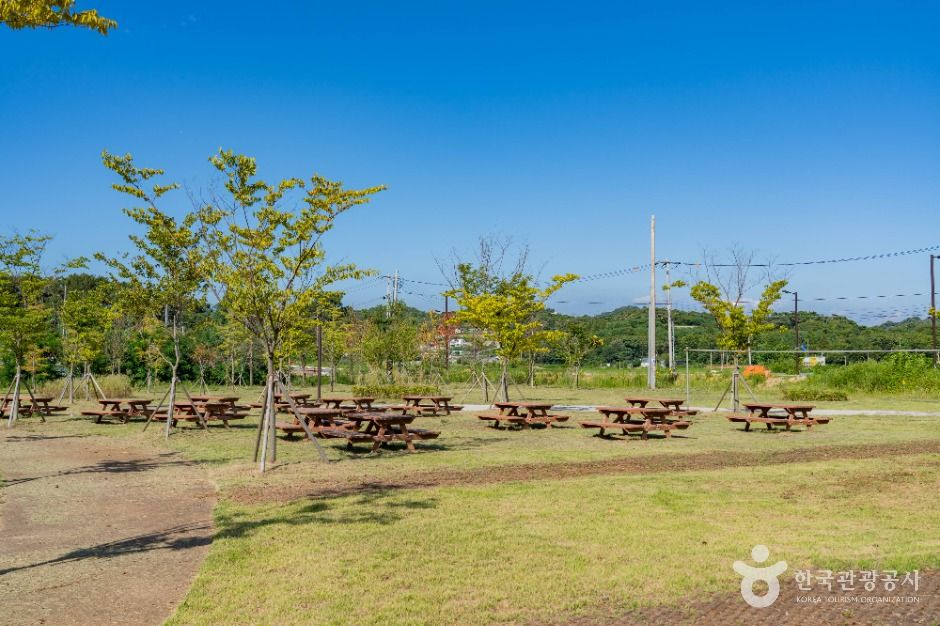 화성_궁평유원지 (6)