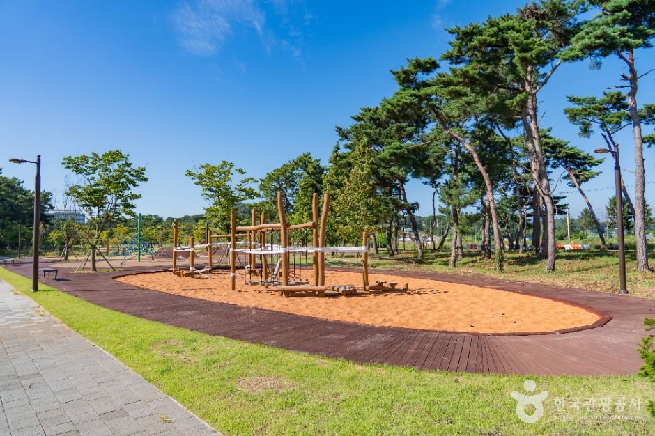 화성_궁평유원지 (7)