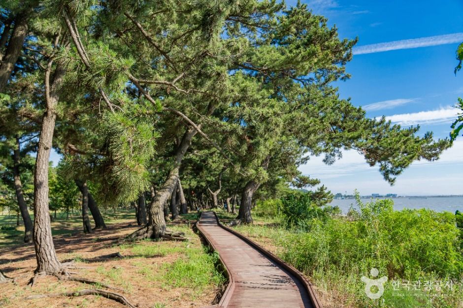 화성_궁평유원지 (8)