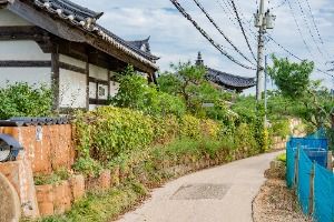 백미리어촌체험휴양마을