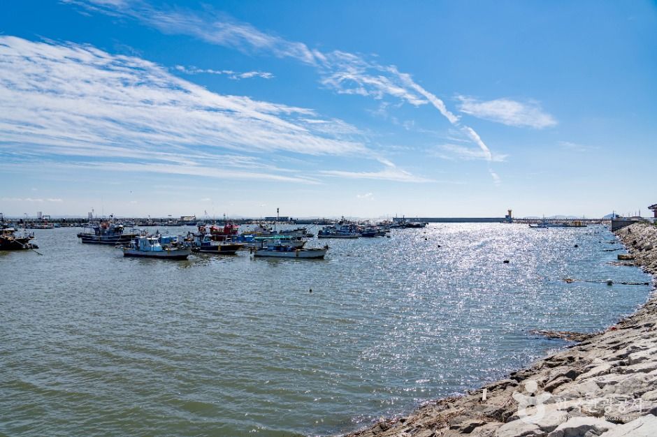 화성_궁평항 (1)