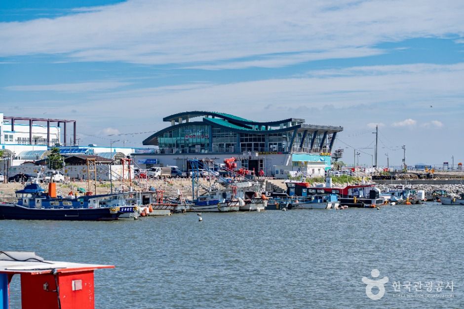 화성_궁평항 (2)