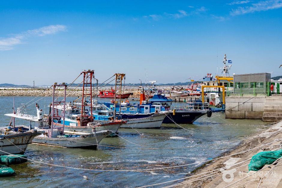 화성_궁평항 (3)