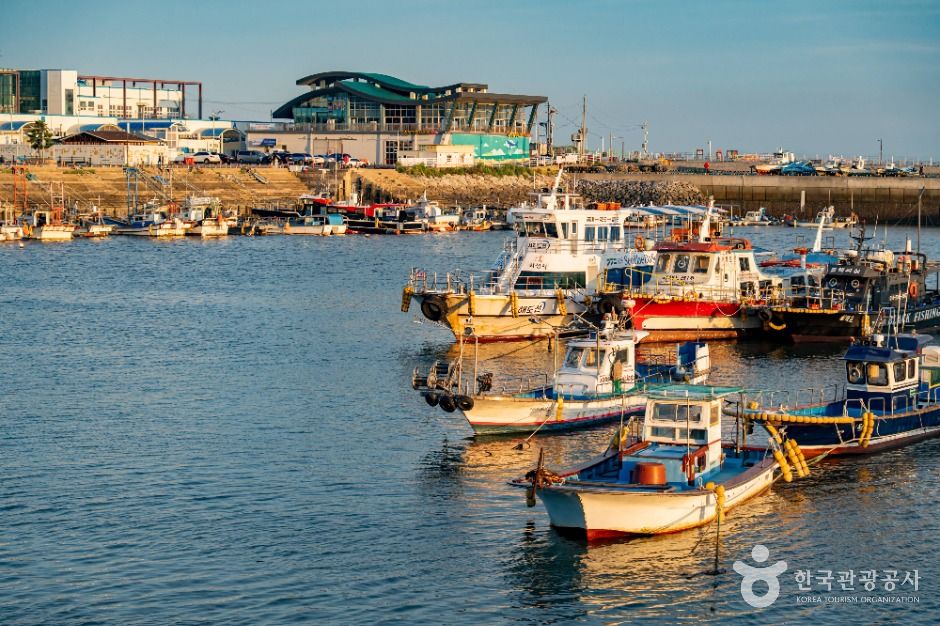 화성_궁평항 (6)