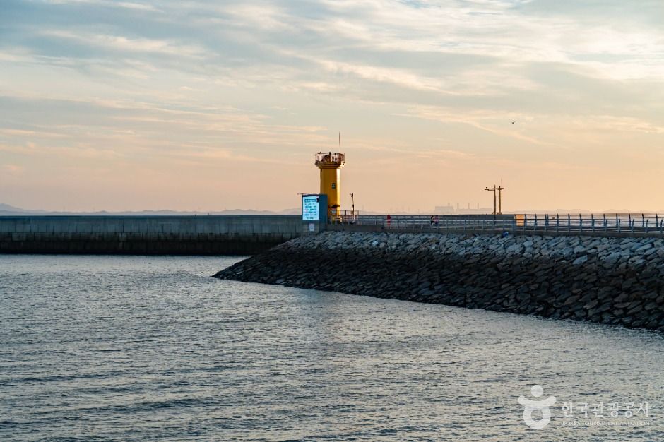 화성_궁평항 (8)