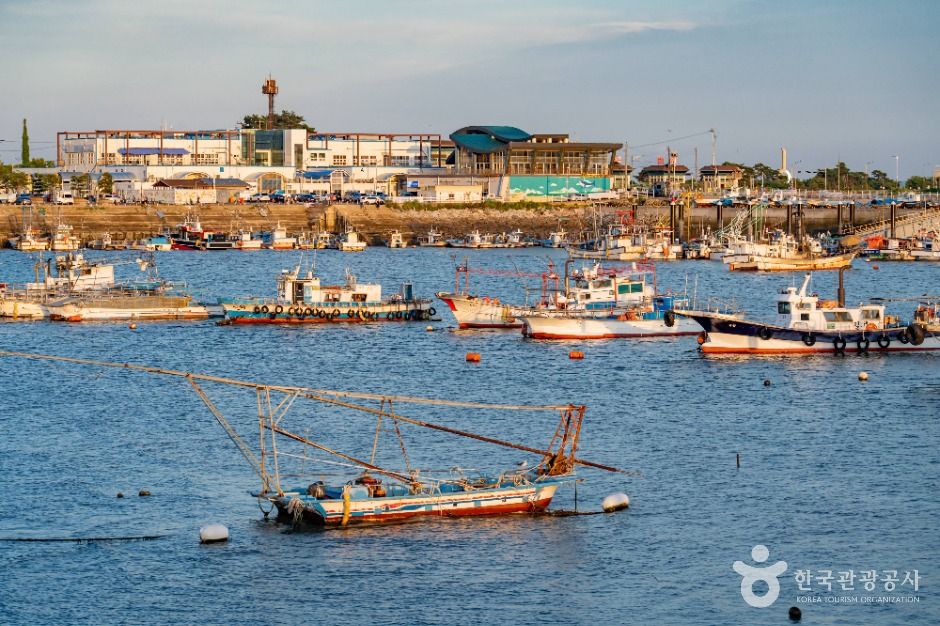 화성_궁평항 (9)