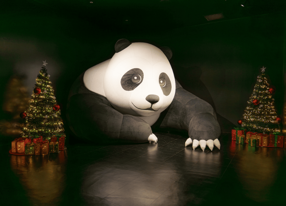 안성_글로우사파리 (5)