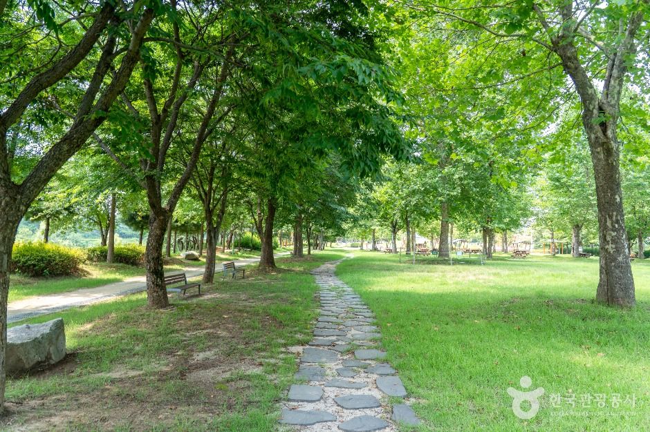 여주_금은모래강변공원 (3)