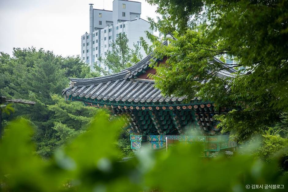 김포_금정사(김포) (9)