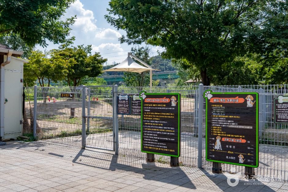 용인_기흥레스피아호수공원 (3)