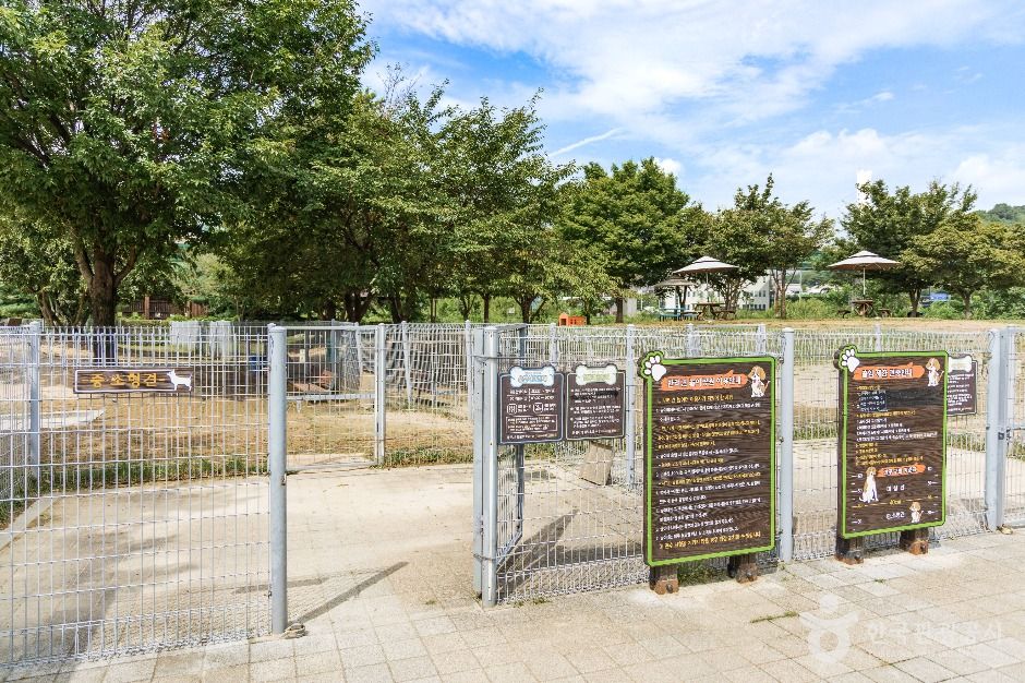 용인_기흥호수공원 반려동물놀이터 (1)