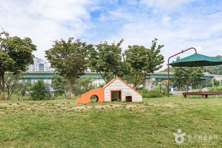 용인_기흥호수공원 반려동물놀이터 (4)