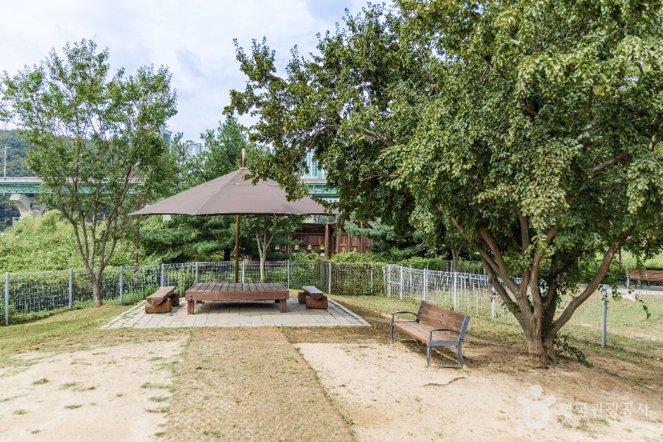 용인_기흥호수공원 반려동물놀이터 (5)