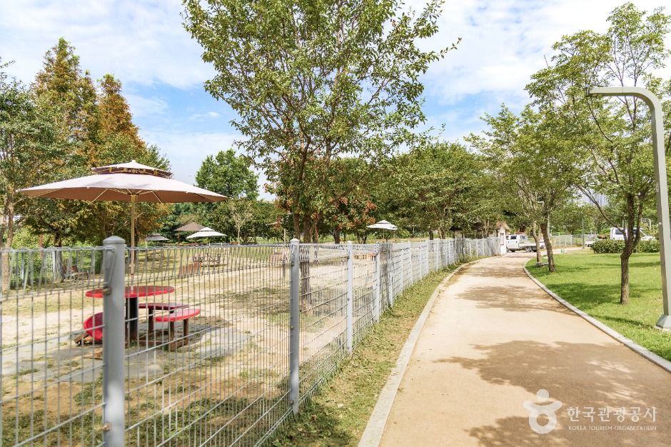 용인_기흥호수공원 반려동물놀이터 (6)