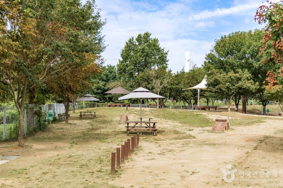 용인_기흥호수공원 반려동물놀이터 (7)