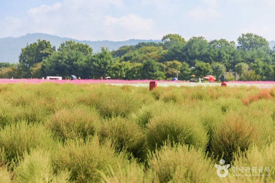 양주_나리농원 (1)