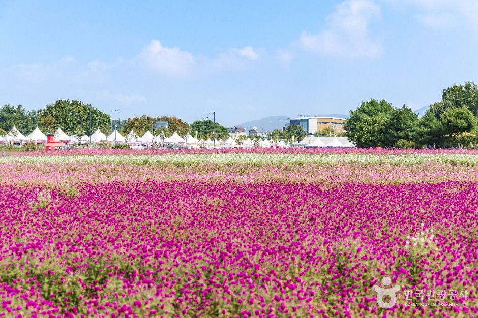 양주_나리농원 (2)