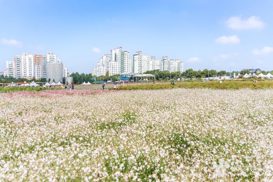 양주_나리농원 (3)