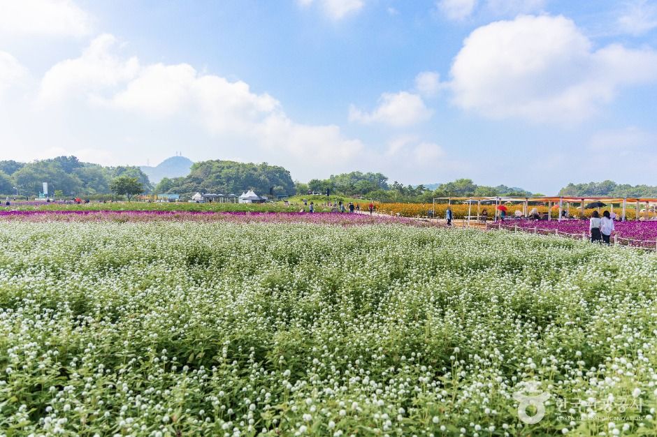 양주_나리농원 (5)