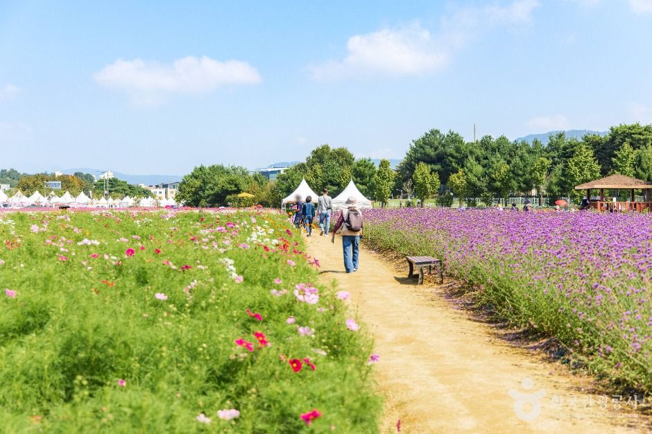 양주_나리농원 (6)