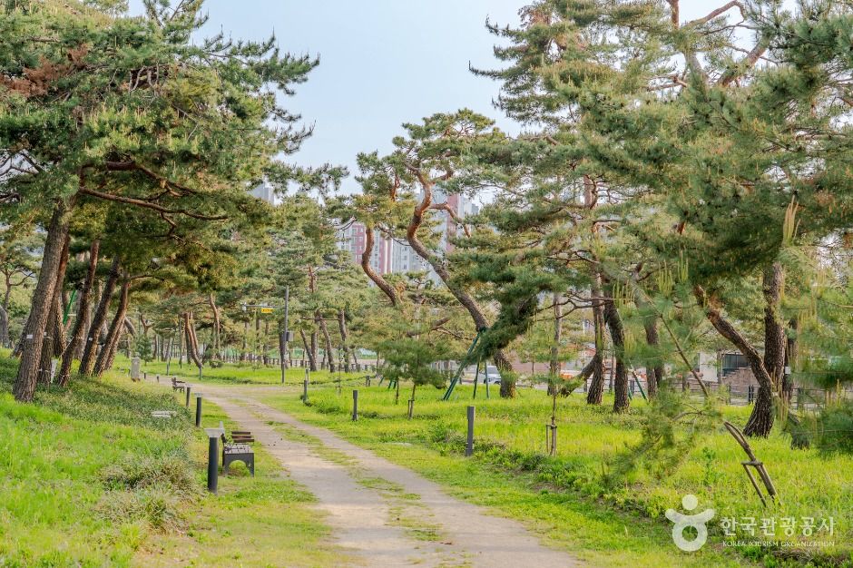 수원_노송지대 (3)