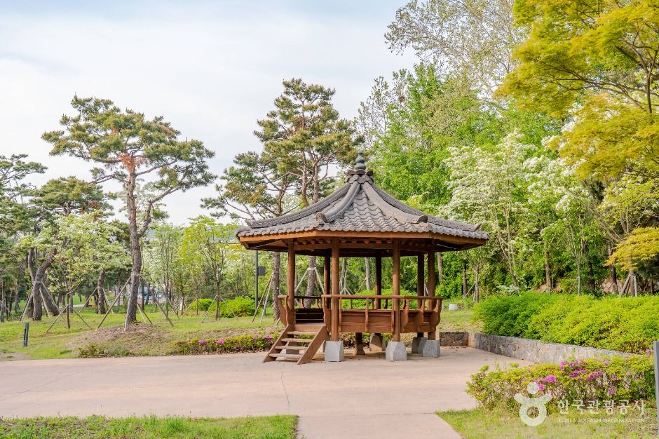 수원_노송지대 (1)